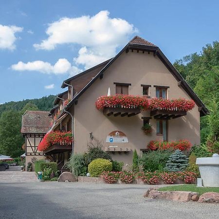 Hotel Domaine Le Moulin Ottrott Zewnętrze zdjęcie