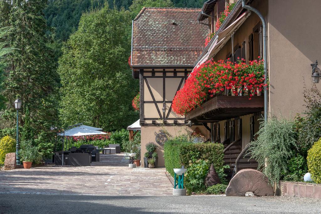 Hotel Domaine Le Moulin Ottrott Zewnętrze zdjęcie