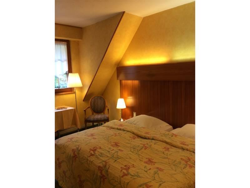 Hotel Domaine Le Moulin Ottrott Zewnętrze zdjęcie